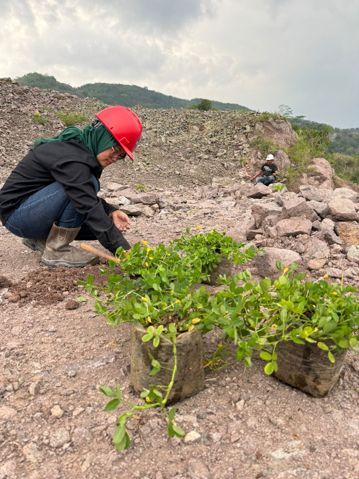 Lingkungan Berkelanjutan