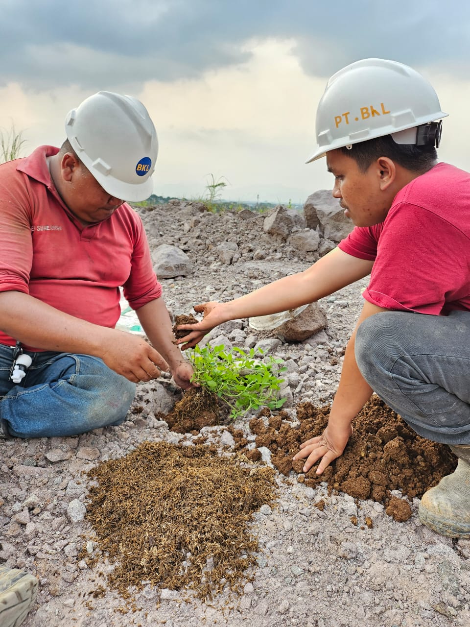 Pohon Untuk Masa Depan
