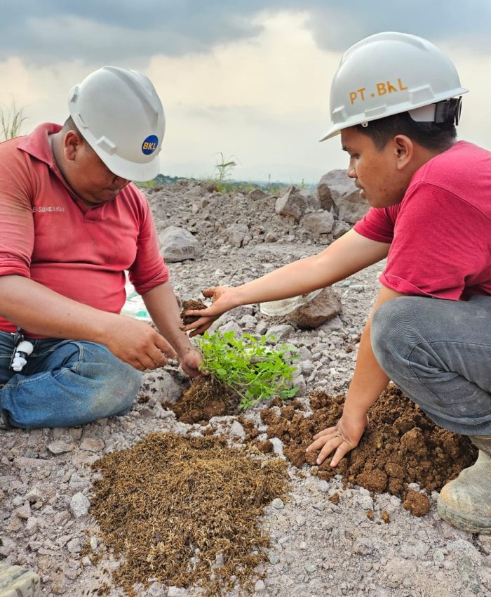 Pohon Untuk Masa Depan